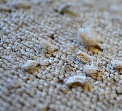 Carpet and Floor Installation Telluride CO 1